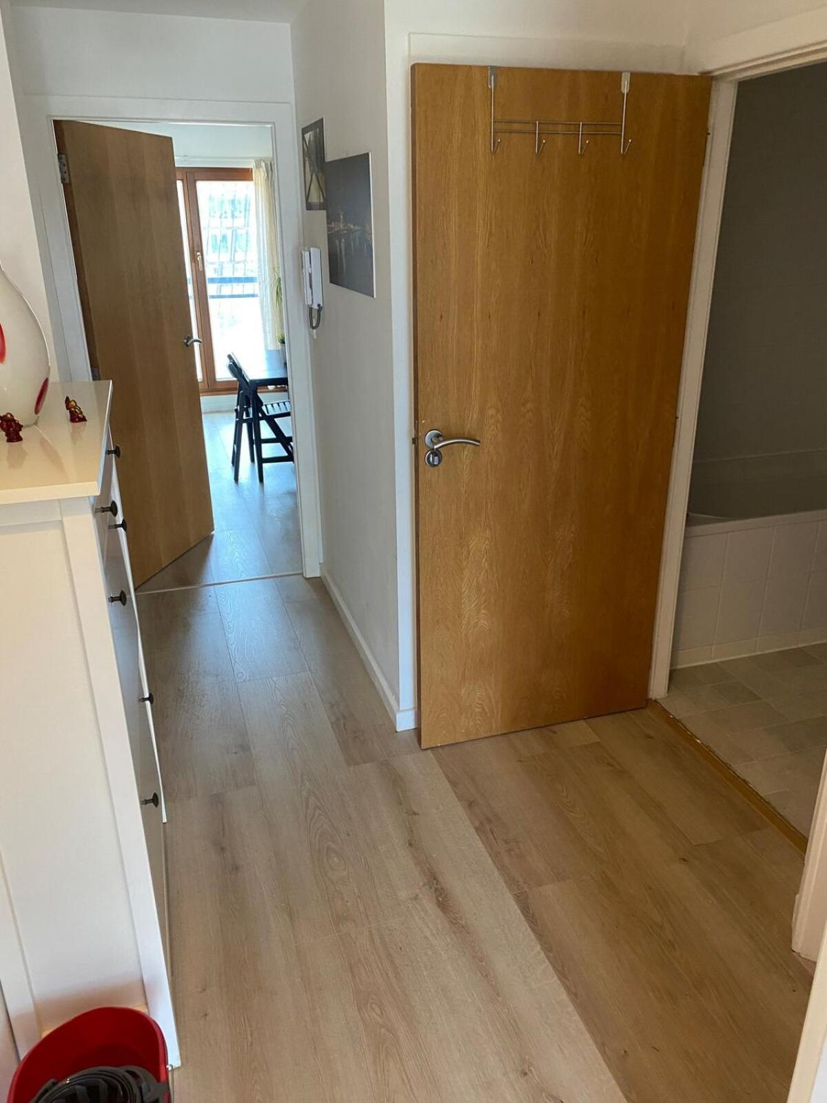 Modern One Bedroom Apartment